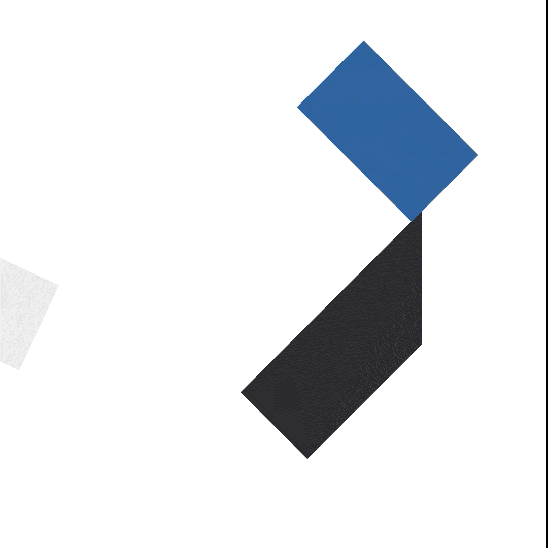Logo animation-2025